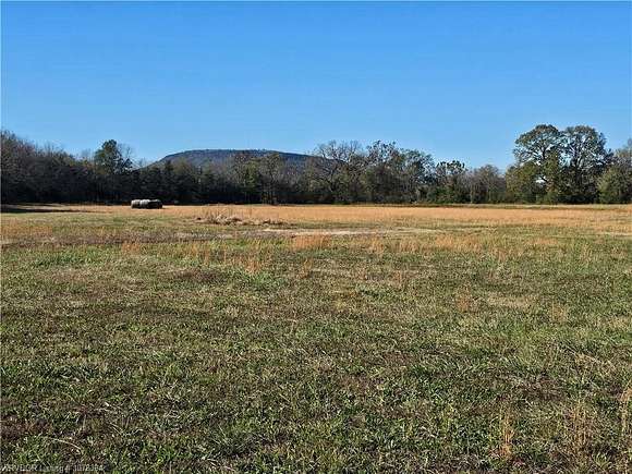 19.66 Acres of Land for Sale in Paris, Arkansas