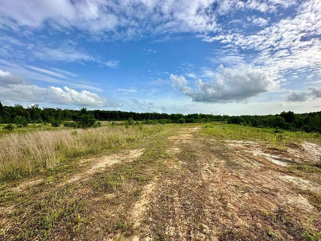 43 Acres of Land for Sale in Oxford, Mississippi