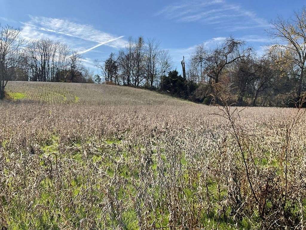 17 Acres of Land for Sale in Byrdstown, Tennessee