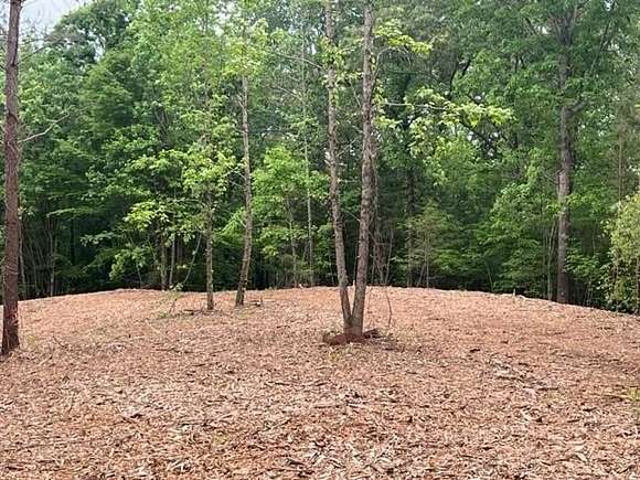 8.093 Acres of Residential Land for Sale in Talking Rock, Georgia