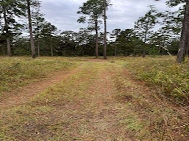 21.24 Acres of Land for Sale in Monticello, Florida