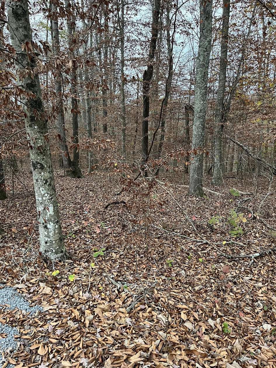 0.81 Acres of Residential Land for Sale in Russell Springs, Kentucky