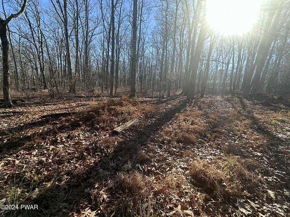 2.16 Acres of Residential Land for Sale in Beach Lake, Pennsylvania