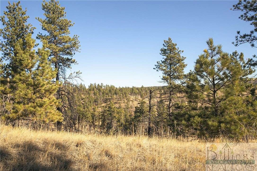 21.446 Acres of Recreational Land for Sale in Columbus, Montana ...