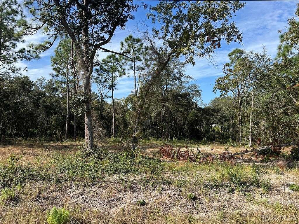 0.4 Acres of Residential Land for Sale in Homosassa, Florida