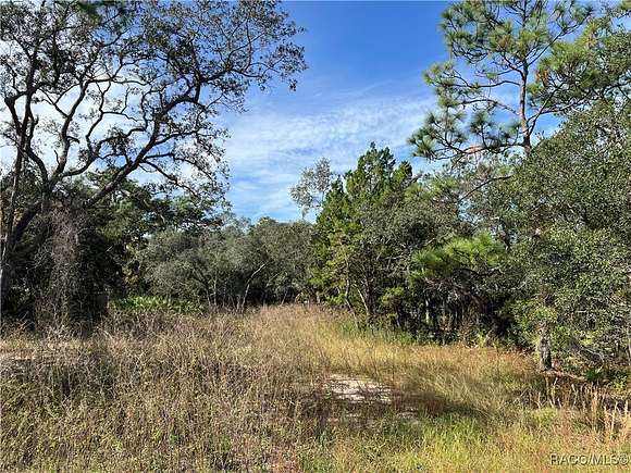 0.4 Acres of Residential Land for Sale in Homosassa, Florida