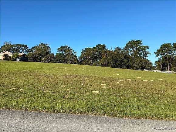 1 Acre of Land for Sale in Hernando, Florida