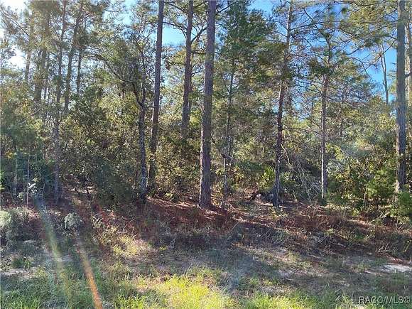 1 Acre of Residential Land for Sale in Citrus Springs, Florida