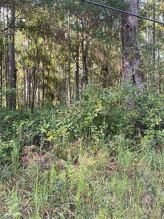 1.25 Acres of Residential Land for Sale in Waldo, Florida