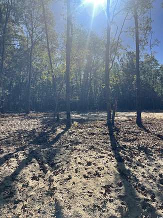 1.09 Acres of Residential Land for Sale in Marion, South Carolina