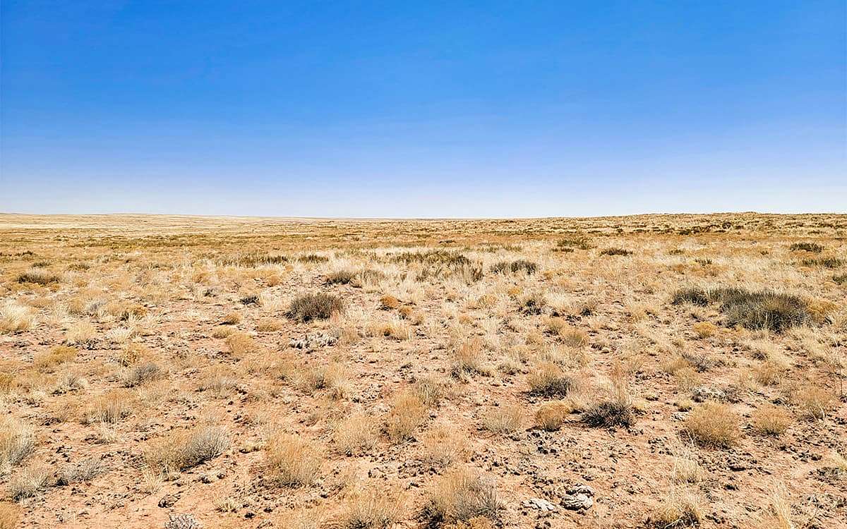 10 Acres of Recreational Land for Sale in Holbrook, Arizona