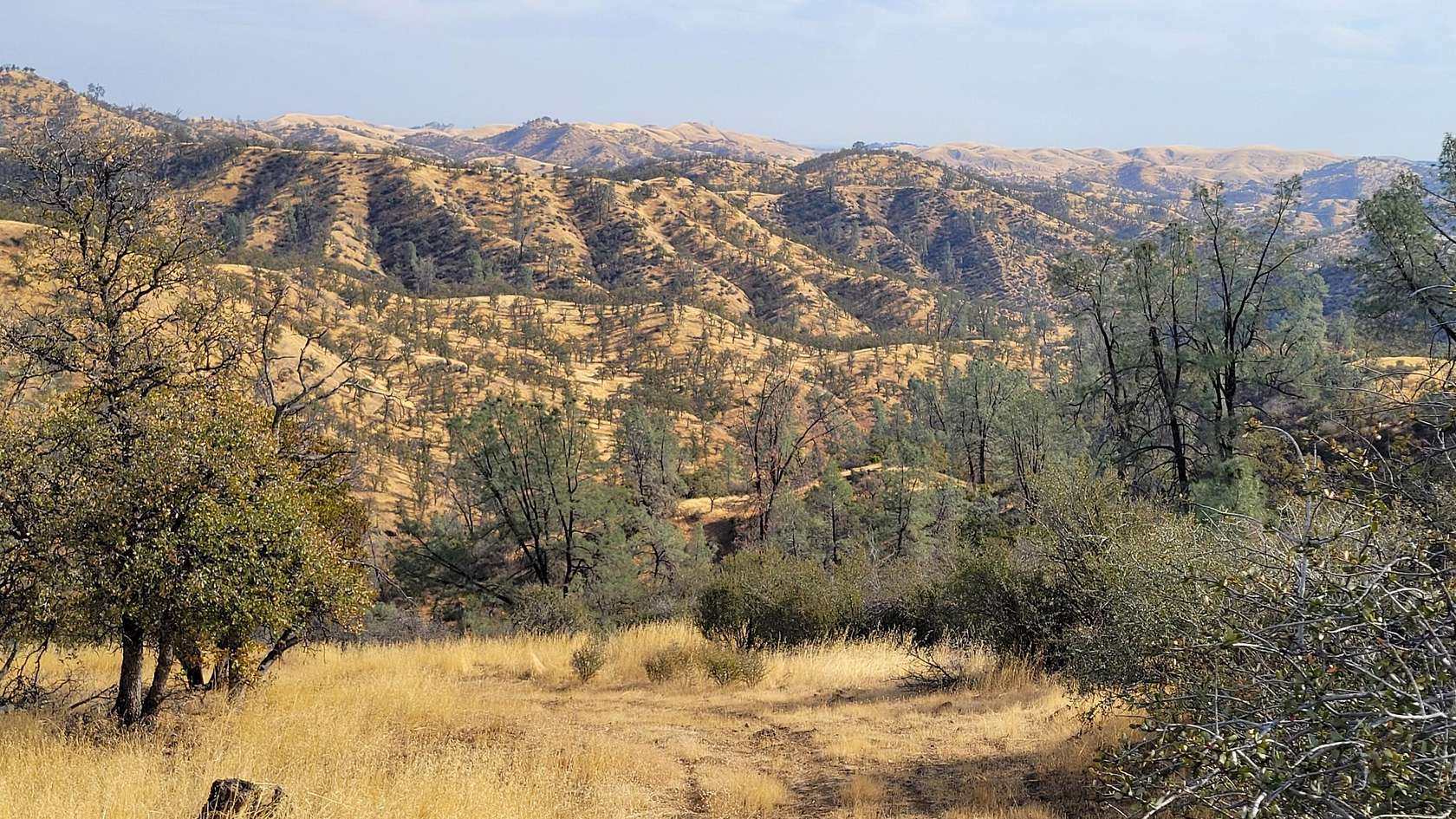 40.3 Acres of Recreational Land for Sale in Ono, California