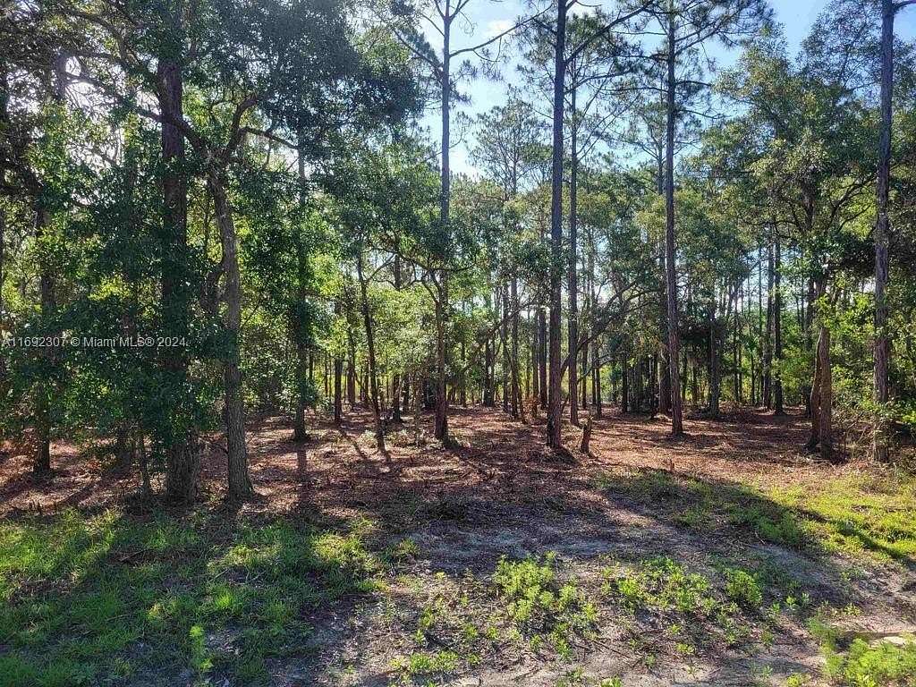 1.17 Acres of Residential Land for Sale in Panacea, Florida