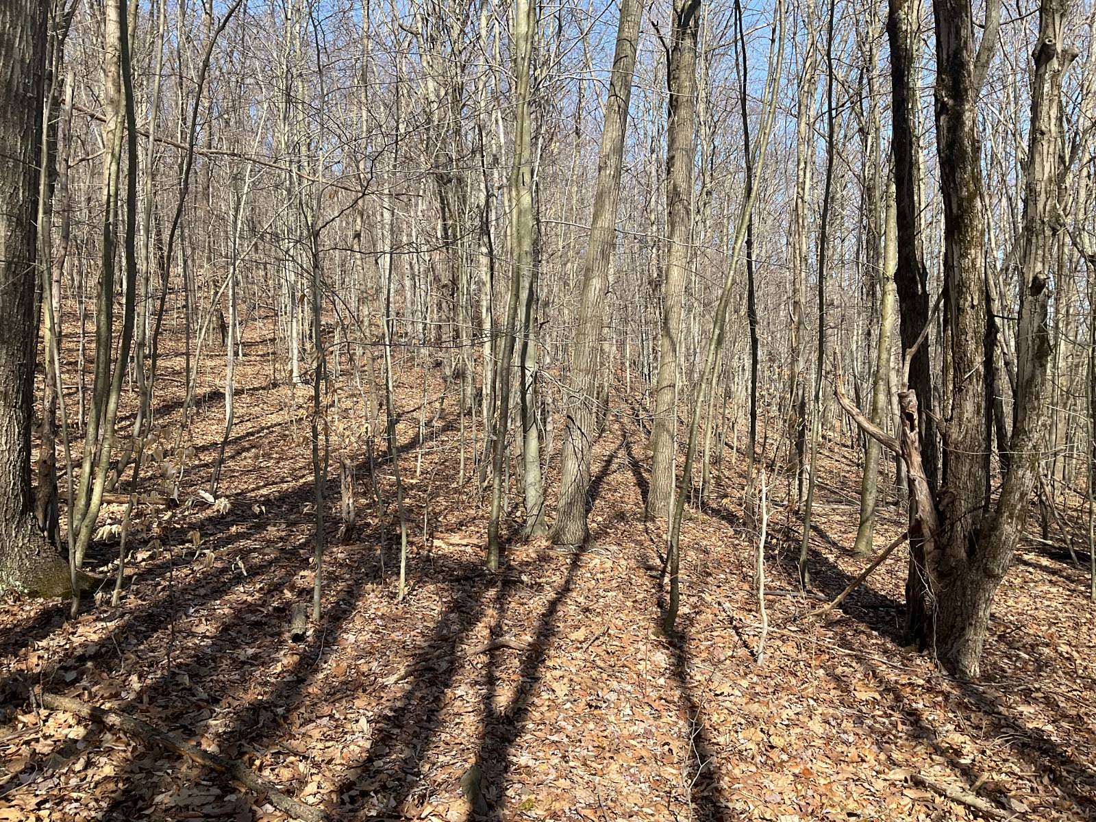 14.37 Acres of Recreational Land for Sale in Binghamton, New York