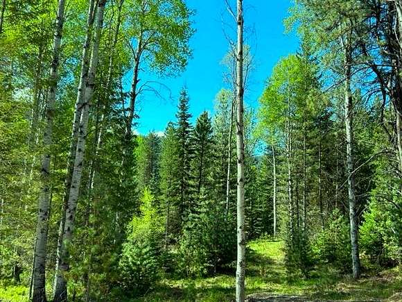 20 Acres of Recreational Land for Sale in Trout Creek, Montana