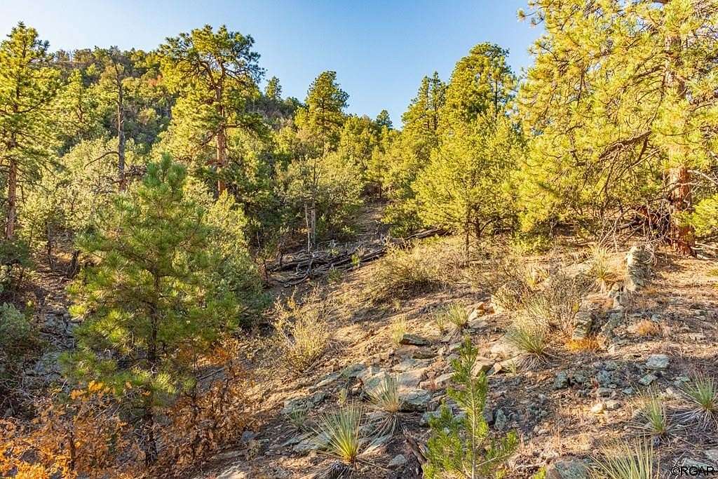 40.62 Acres of Recreational Land for Sale in Cotopaxi, Colorado