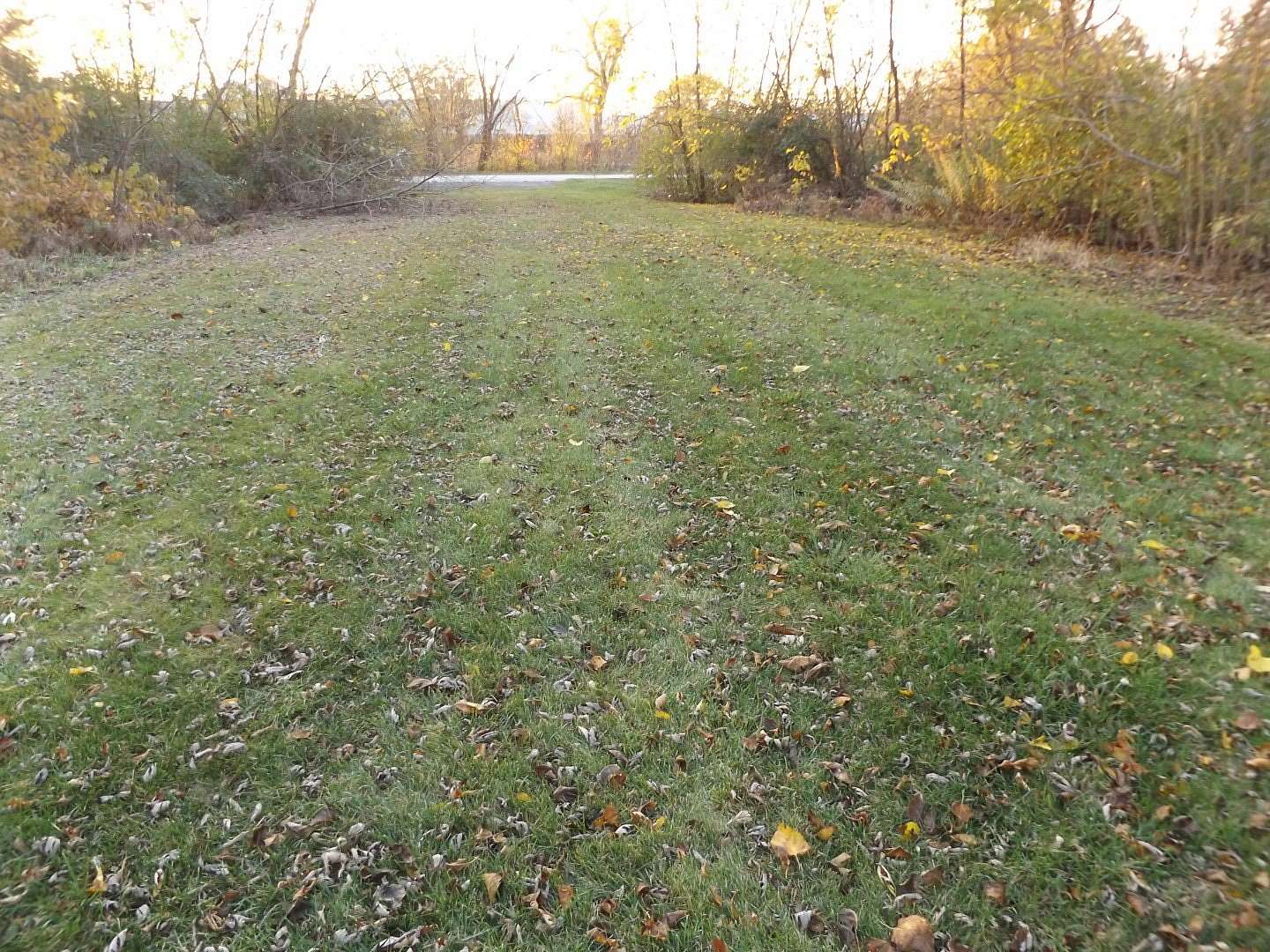 0.63 Acres of Residential Land for Sale in Arlington Heights, Illinois