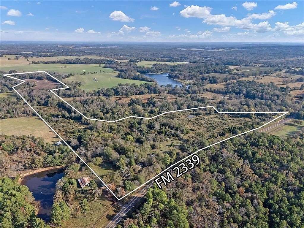 51 Acres of Agricultural Land for Sale in Ben Wheeler, Texas