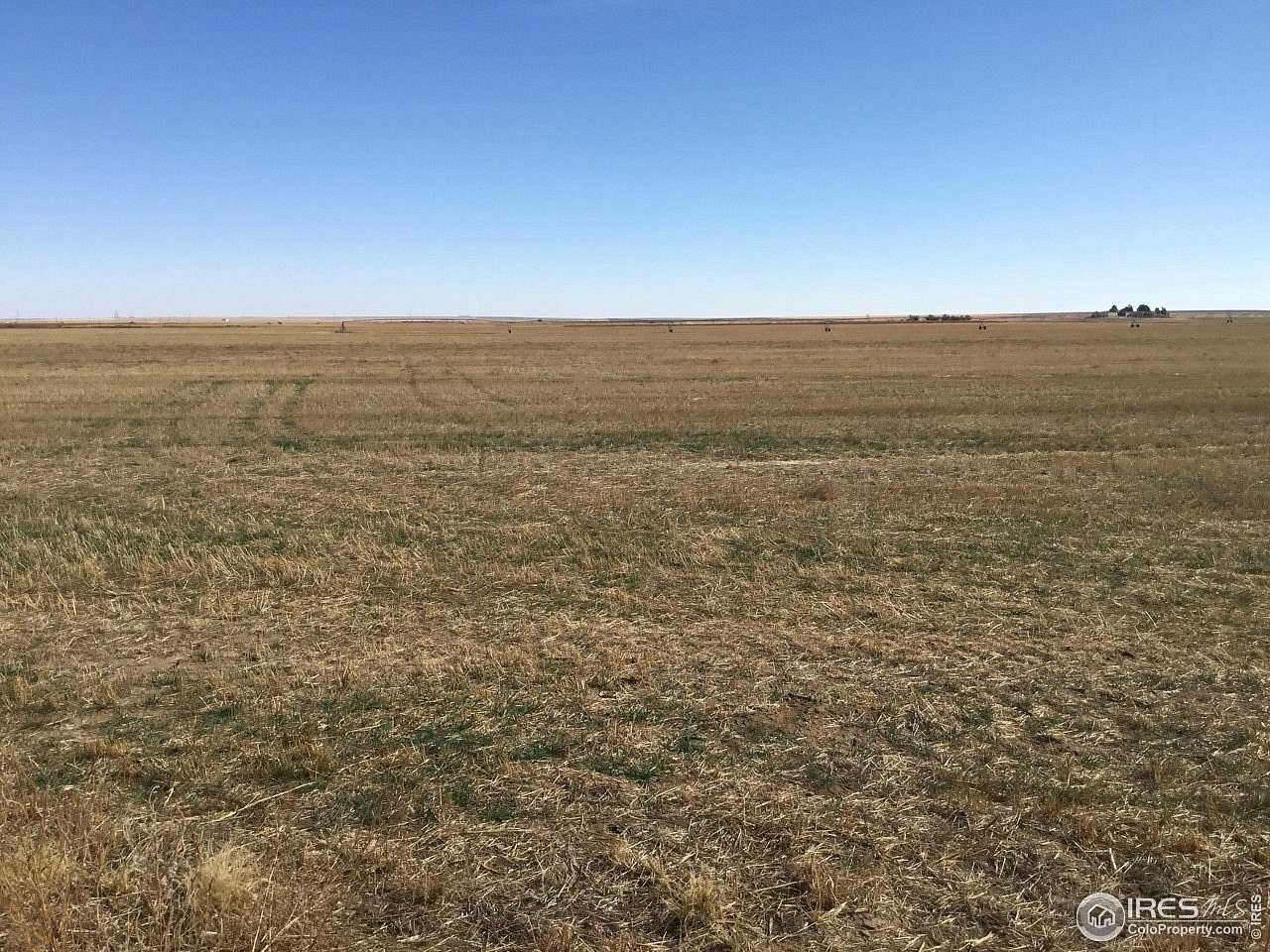 146.25 Acres of Land for Sale in Keenesburg, Colorado