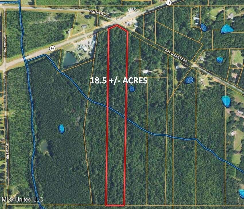 18.5 Acres of Mixed-Use Land for Sale in Canton, Mississippi