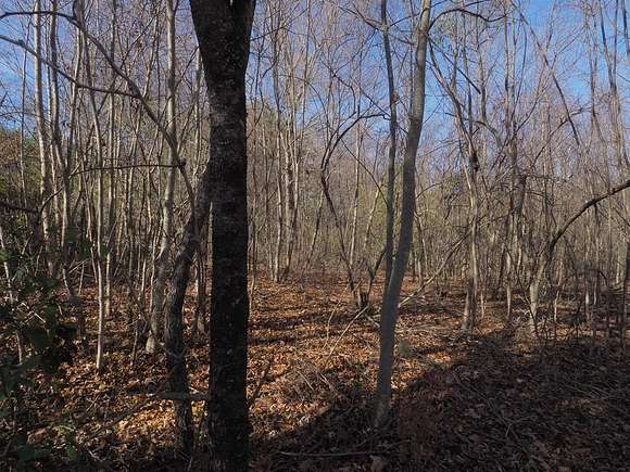 2 Acres of Land for Sale in Independence, Virginia