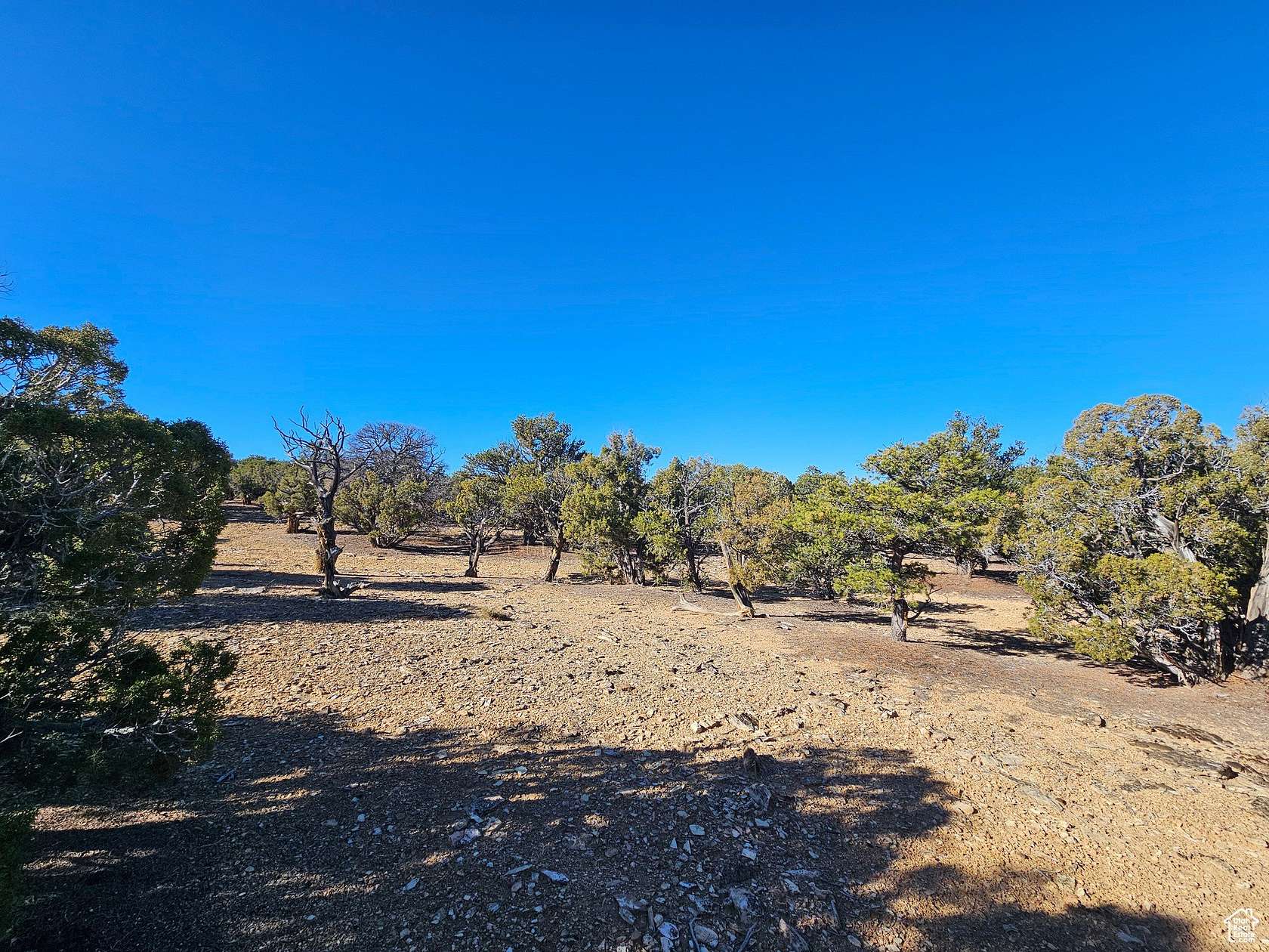 10 Acres of Recreational Land for Sale in Duchesne, Utah