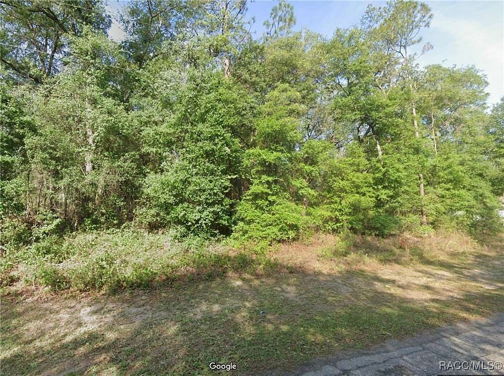 0.23 Acres of Land for Sale in Citrus Springs, Florida