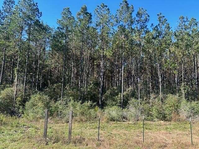 350 Acres of Recreational Land for Sale in Poplarville, Mississippi