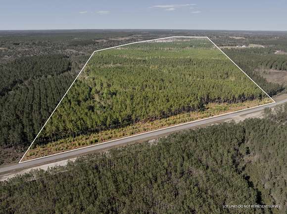 350 Acres of Recreational Land for Sale in Poplarville, Mississippi