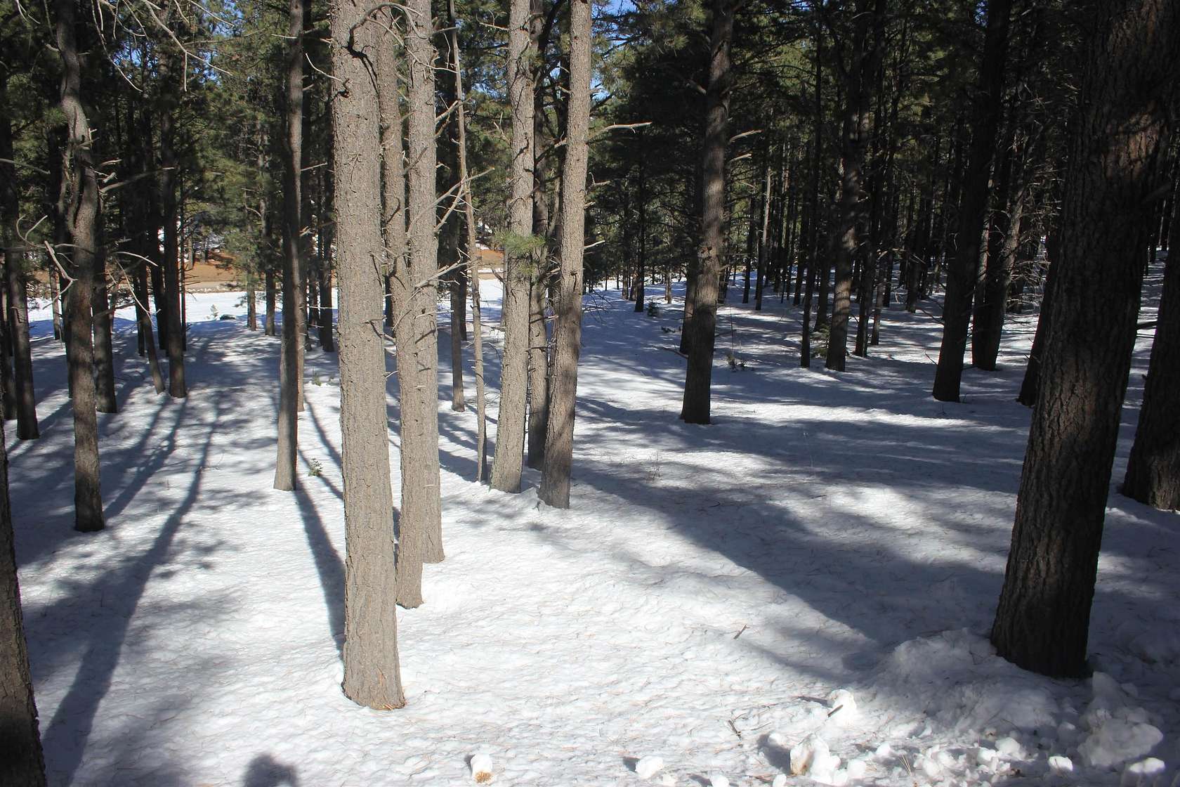 0.51 Acres of Residential Land for Sale in Angel Fire, New Mexico