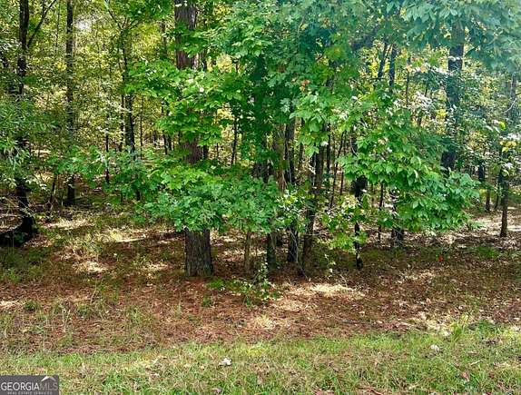 5 Acres of Residential Land for Sale in Buckhead, Georgia