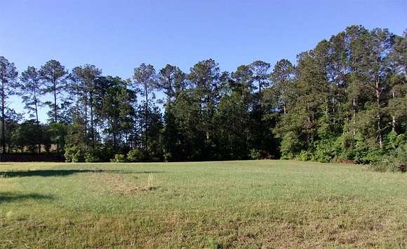 1.17 Acres of Residential Land for Sale in Thomasville, Georgia