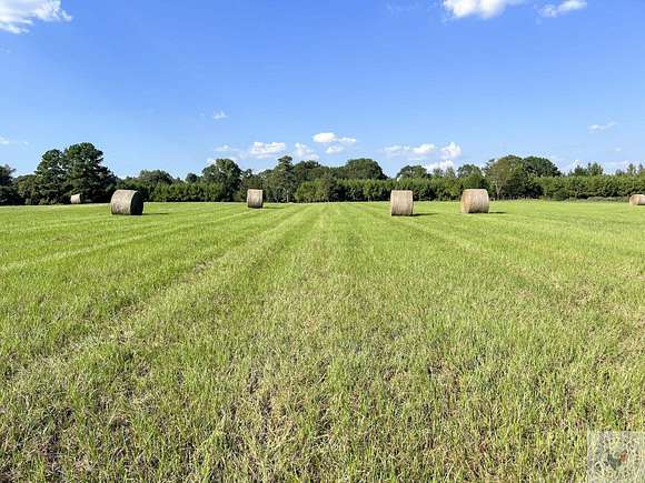 81 Acres of Agricultural Land for Sale in New Boston, Texas