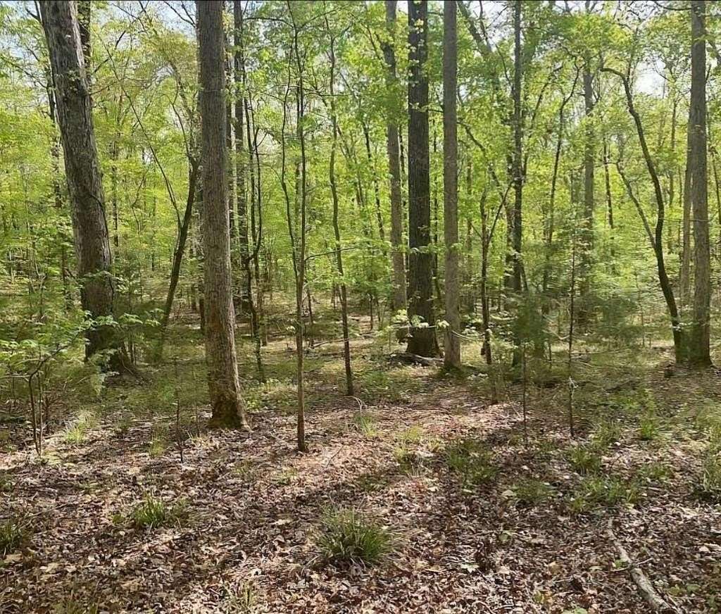 2.87 Acres of Residential Land for Sale in Blythewood, South Carolina