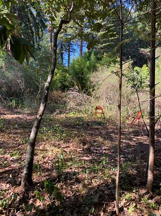 0.257 Acres of Residential Land for Sale in Guerneville, California