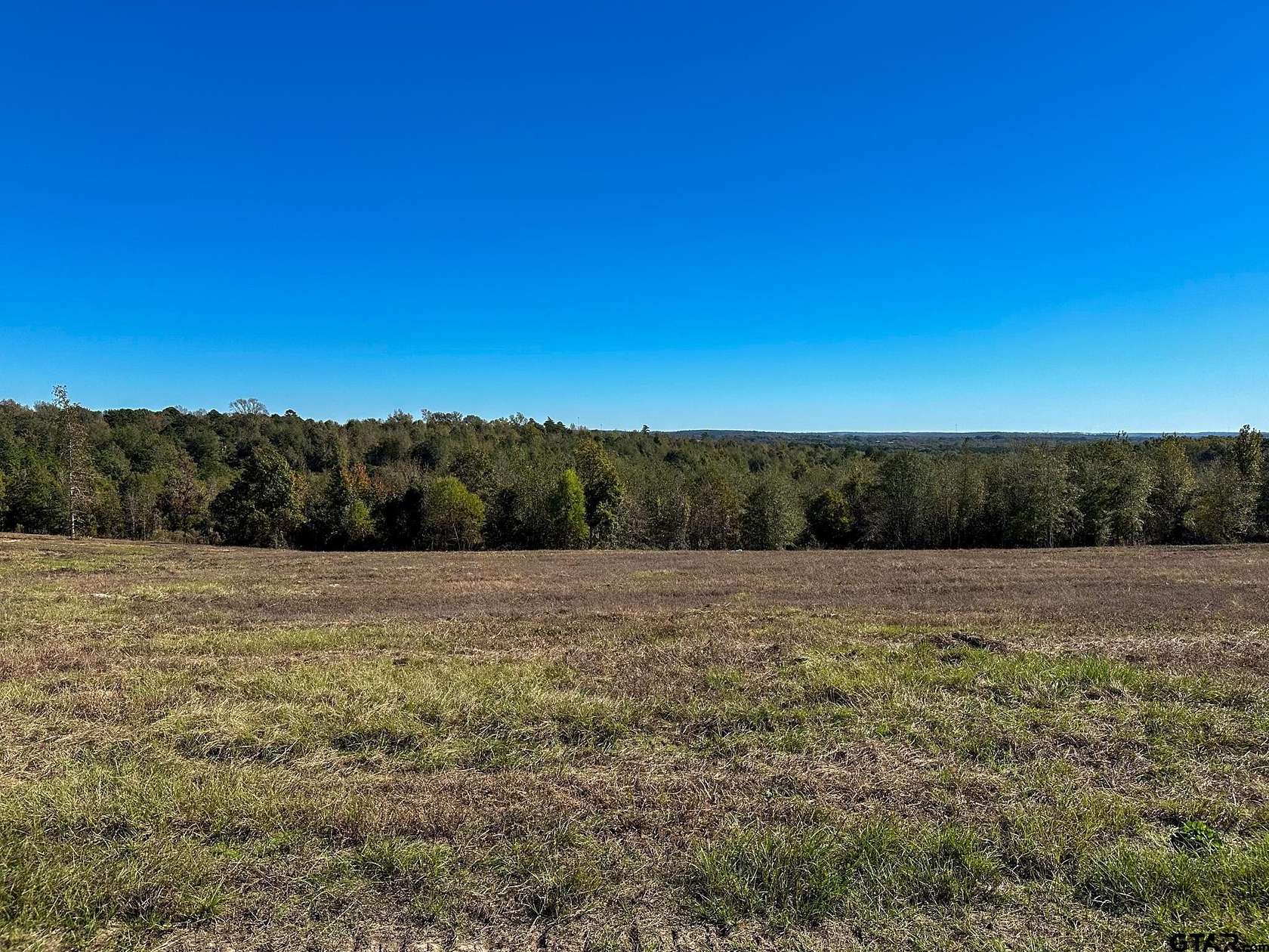 9 Acres of Residential Land for Sale in Laneville, Texas