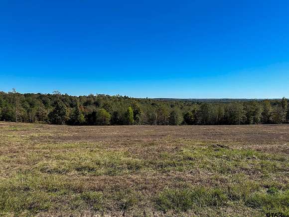 9 Acres of Residential Land for Sale in Laneville, Texas