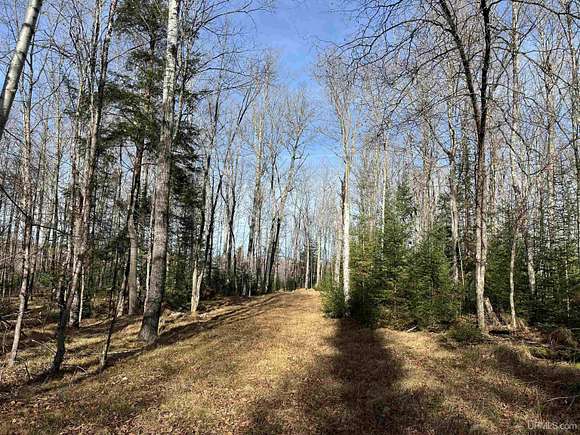 40 Acres of Recreational Land for Sale in Florence Town, Wisconsin