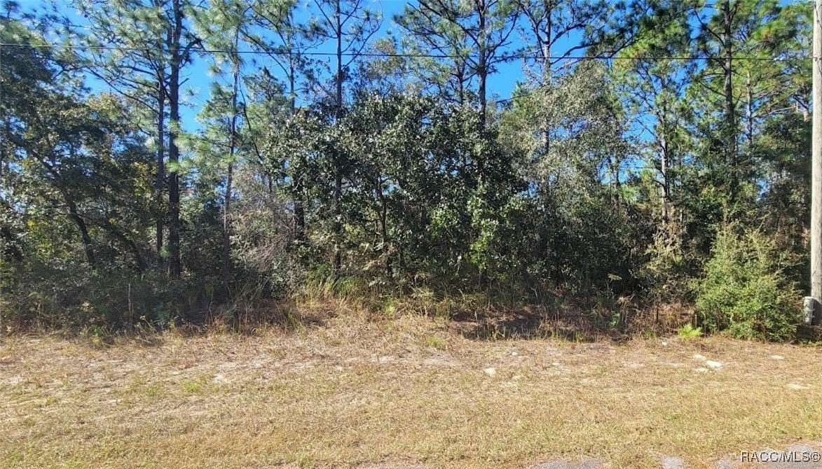 0.23 Acres of Residential Land for Sale in Citrus Springs, Florida