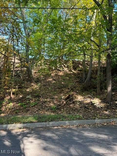 0.424 Acres of Residential Land for Sale in Akron, Ohio