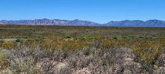 33.4 Acres of Recreational Land for Sale in Tombstone, Arizona