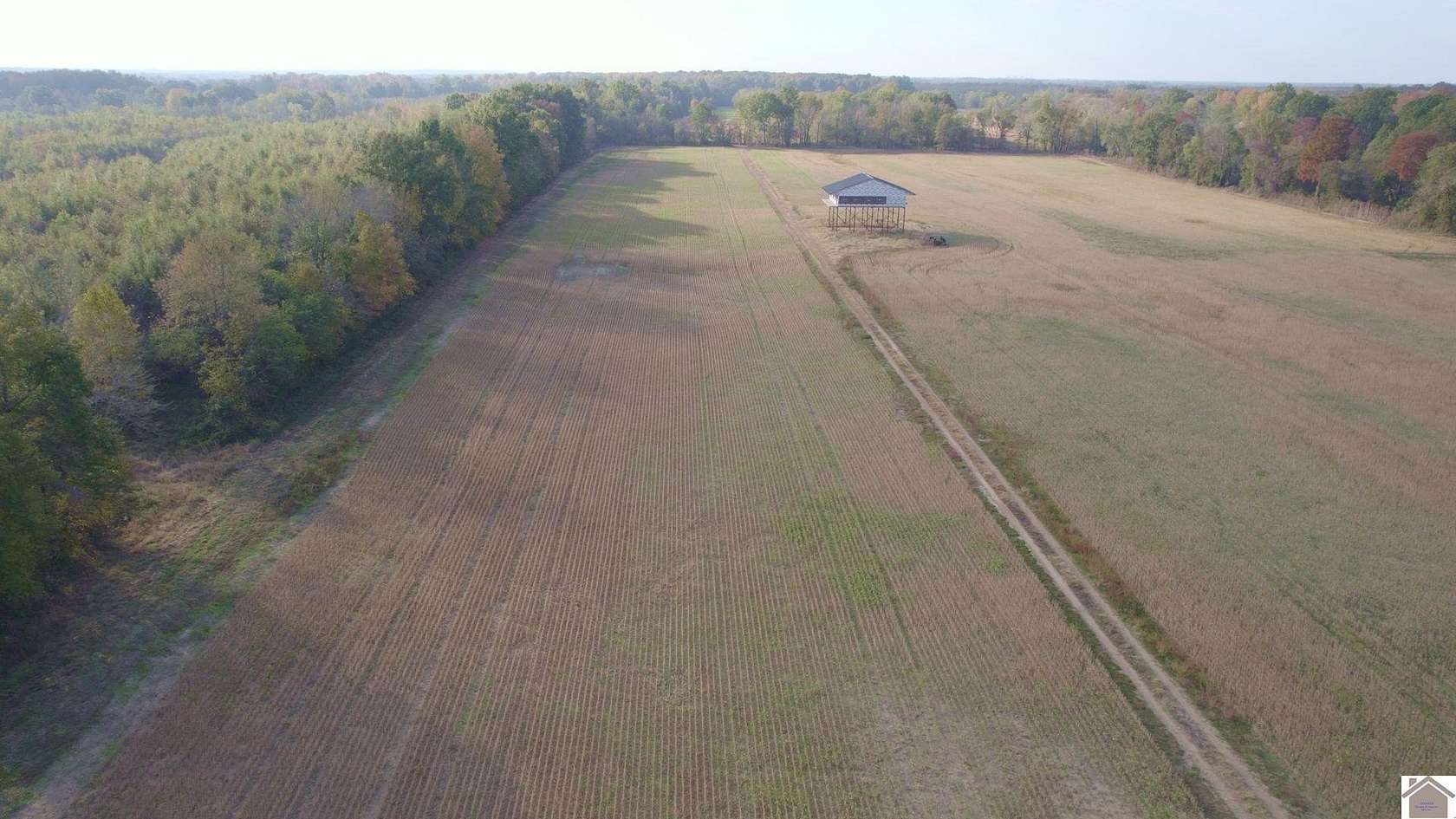 150 Acres of Agricultural Land for Sale in Barlow, Kentucky