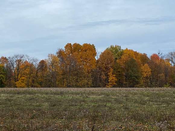 1.5 Acres of Residential Land for Sale in Scotts, Michigan