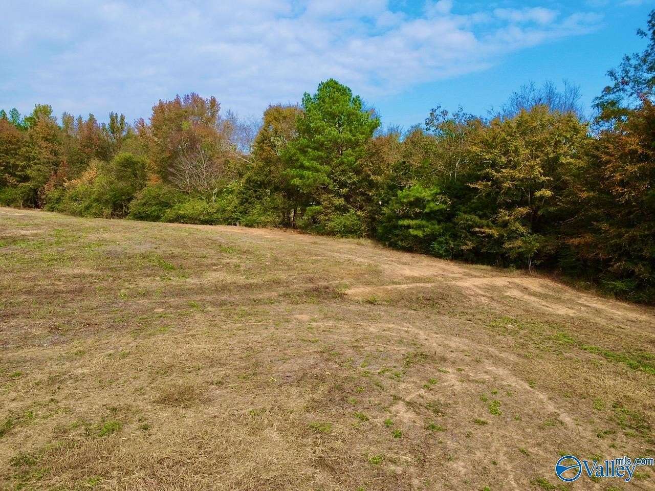 2.11 Acres of Land for Sale in Langston, Alabama