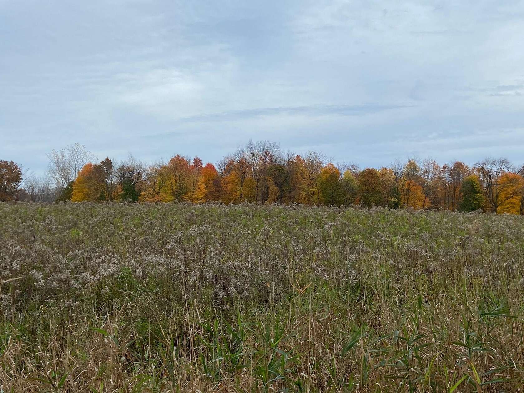 1.5 Acres of Residential Land for Sale in Scotts, Michigan