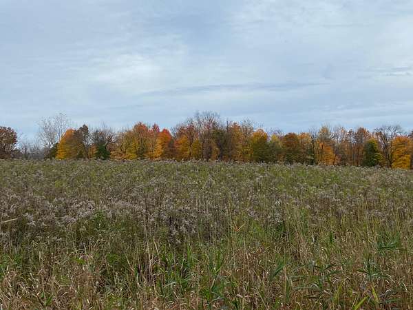 1.5 Acres of Residential Land for Sale in Scotts, Michigan