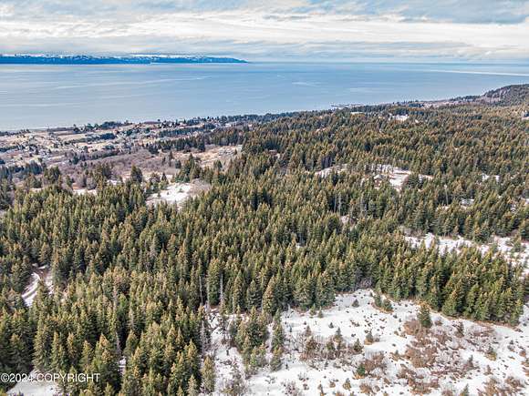 10 Acres of Residential Land for Sale in Homer, Alaska