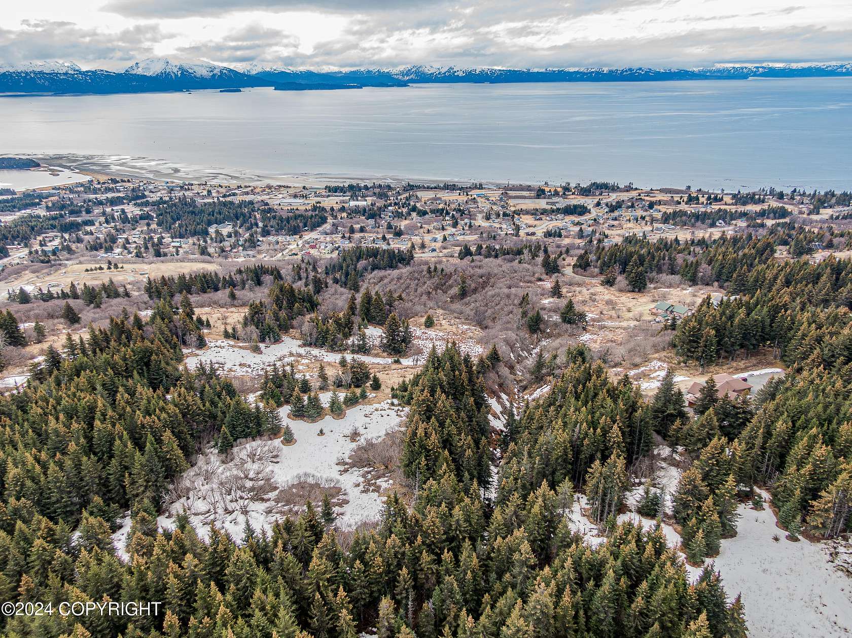 20 Acres of Land for Sale in Homer, Alaska