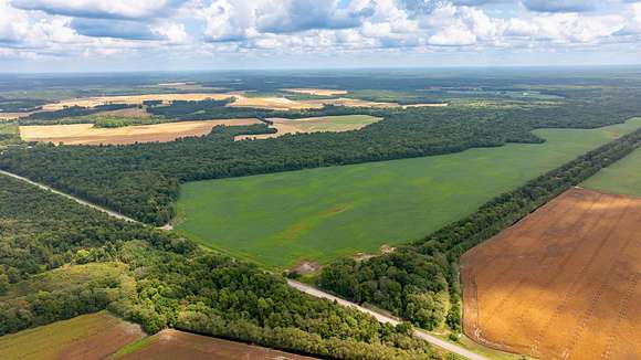 1,600 Acres of Recreational Land & Farm for Auction in Gable, South Carolina