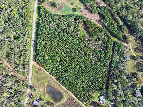 12.7 Acres of Land for Sale in Thomasville, Alabama